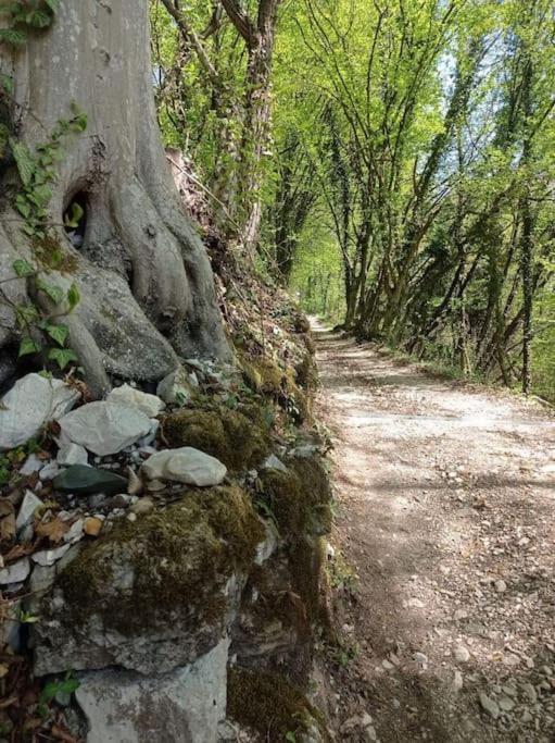 Casa Nella Natura Il Risveglio Degli Elfi Pedavena Exteriér fotografie