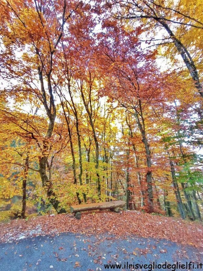 Casa Nella Natura Il Risveglio Degli Elfi Pedavena Exteriér fotografie