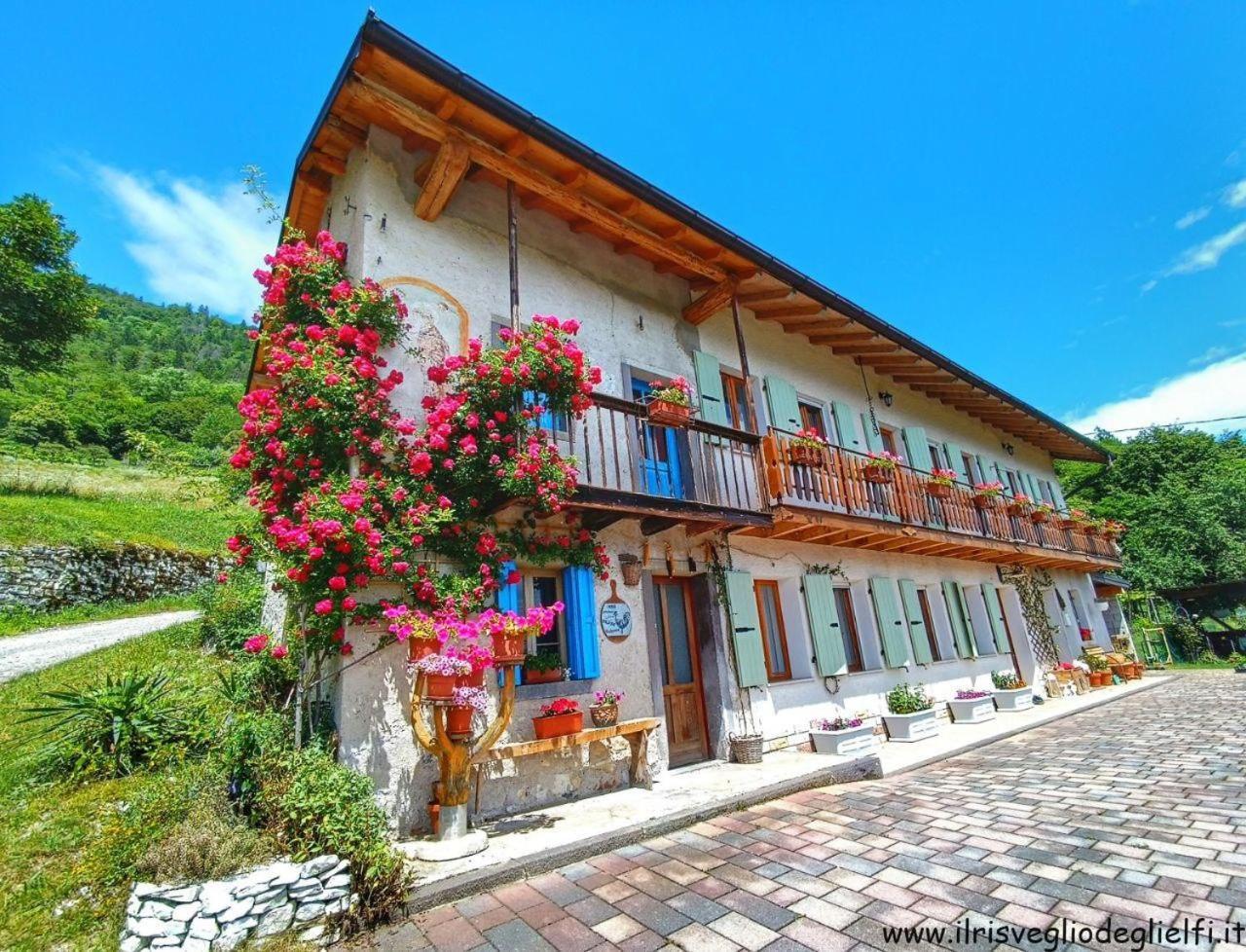 Casa Nella Natura Il Risveglio Degli Elfi Pedavena Exteriér fotografie